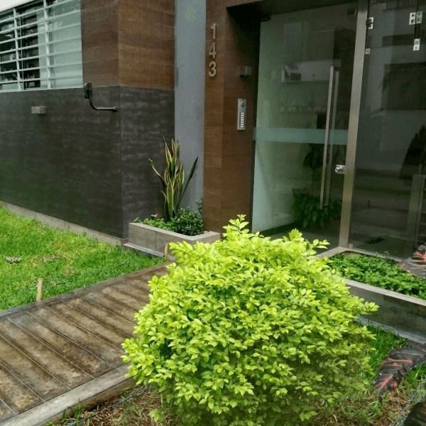 Moderno Departamento en San Borja lmite con San Isidro  como nuevo — foto 2