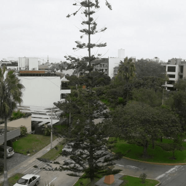 OCASION DUPLEX CON  TERRAZA CON PISCINA TEMPERADA — foto 2