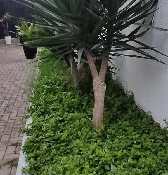 Departamentos tres dormitorios en Condominio La Arboledambate Surco — foto 4