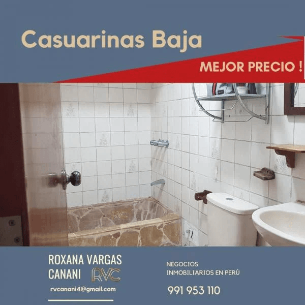 CASUARINAS BAJA DEPARTAMENTO ER PISO INGRESO INDEPENDIENTE PRECIO DE OCASION — foto 3