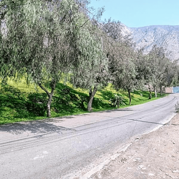 TERRENO RESIDENCIAL EN VENTA — foto 3