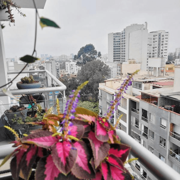Zona Cntrica y Segura  A cdras de Surco y Miraflores  Piso — foto 2