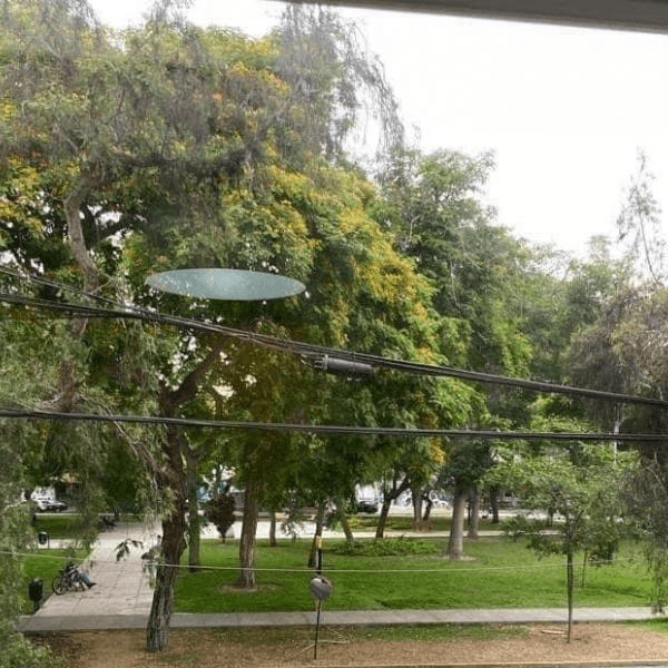 VENDO Este Espectacular y Elegante Departamento con Doble Vista a Parques — foto 2