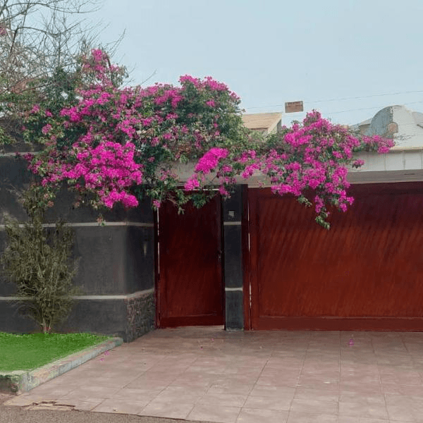 Oportunidad Se vende Casa para Remodelar a precio de Terreno