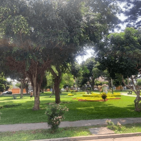 Oportunidad Se vende Casa para Remodelar a precio de Terreno — foto 2