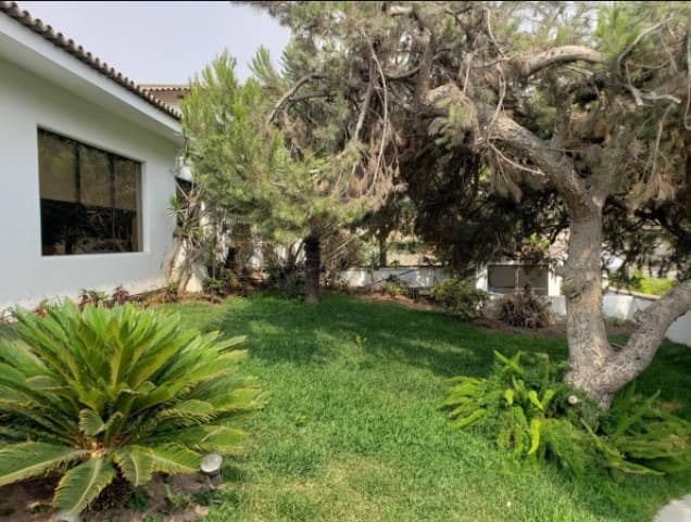Vendo Hermosa Casa en Las Lagunas - La Molina — foto 17