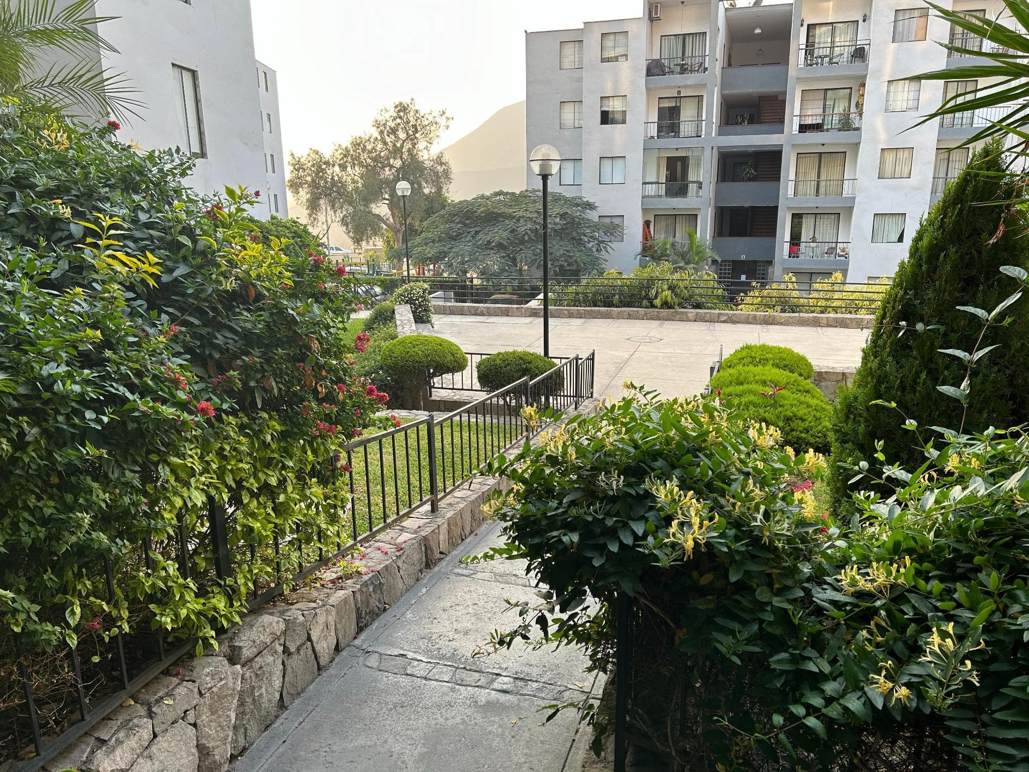 PRECIOSO, OCASION, UPC,ESAN AV. PRIMAVERA-DESOCUPADO-MONTERRICO — foto 20