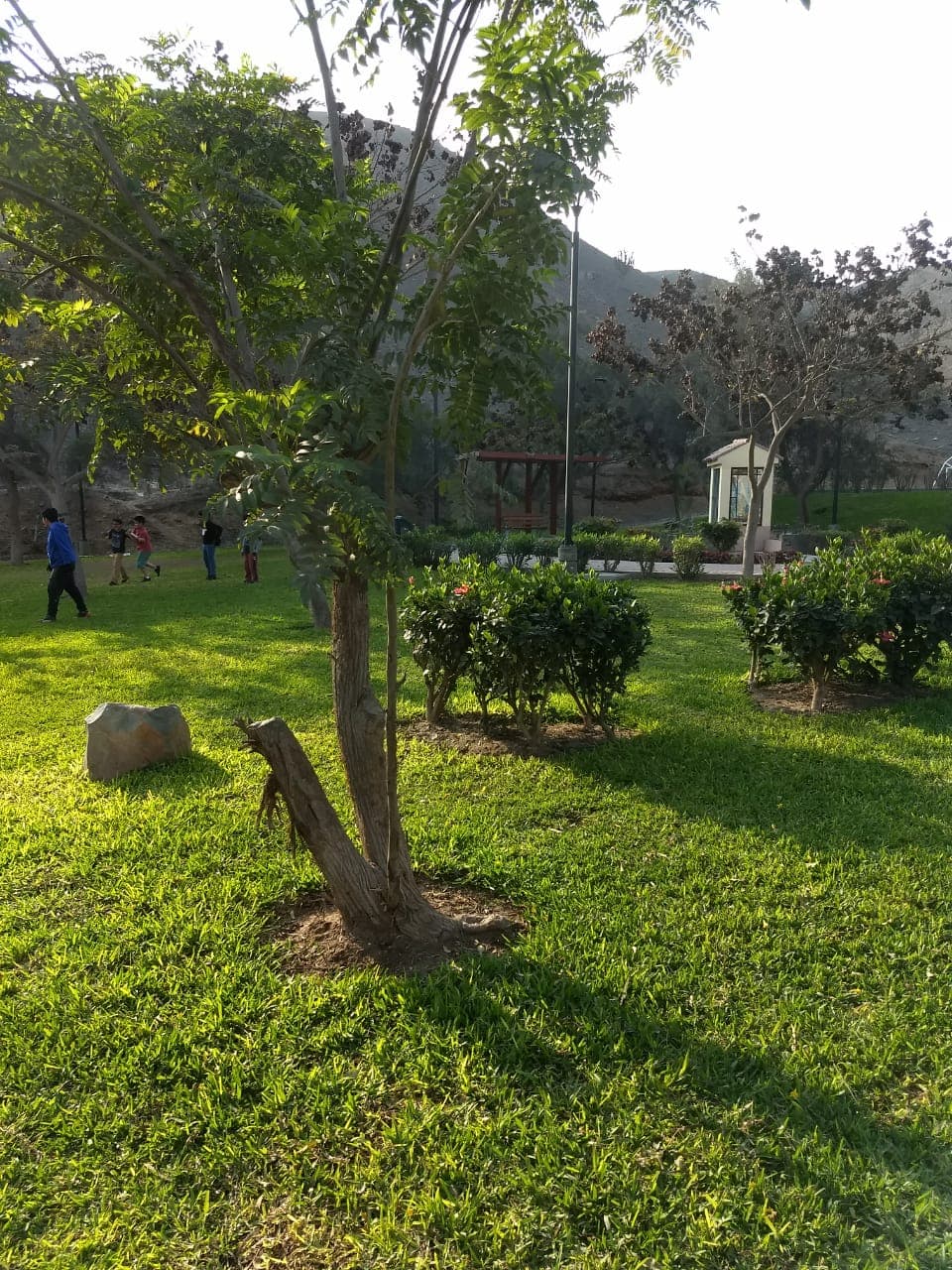 Venta de Casa en La Molina — foto 8
