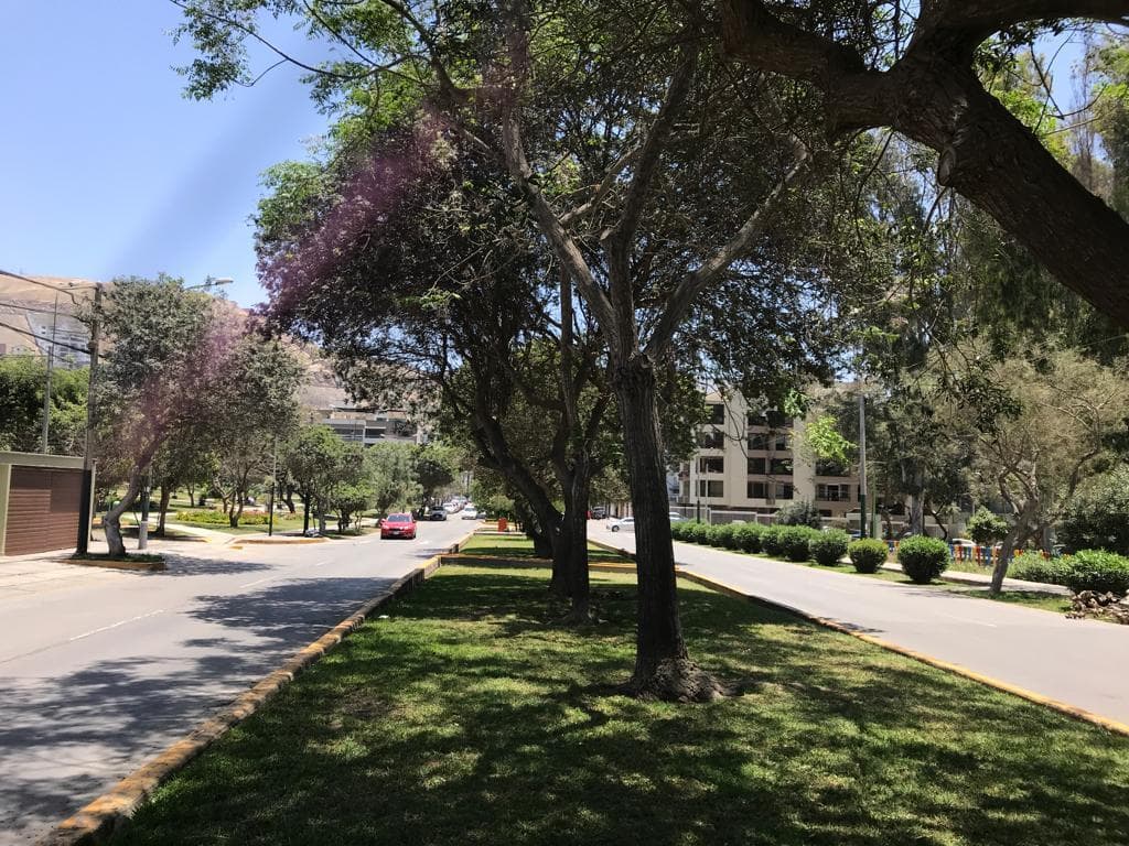 REMATE POR VIAJE  Departamento en Casuarinas Sur, Surco. — foto 3