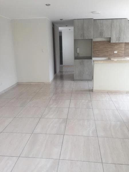 VENTA DE NIDO + 2 DEPARTAMENTOS - LA MOLINA — foto 7
