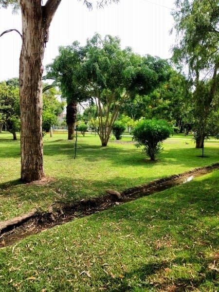 Venta de Departamento en San Isidro — foto 7