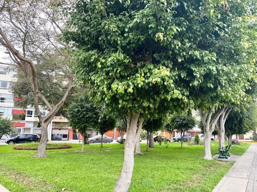 SURCO FRENTE A PARQUE VENDO — foto 4