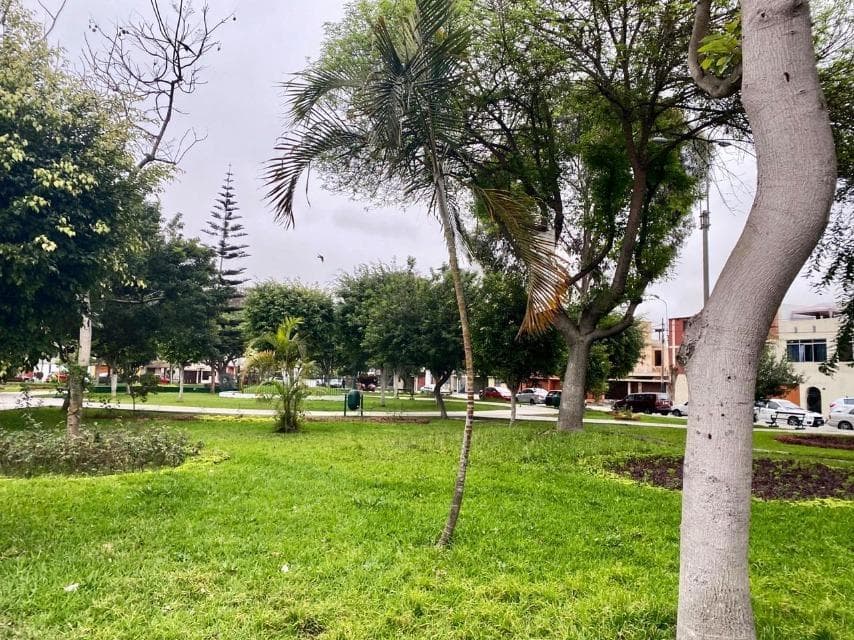 SURCO FRENTE A PARQUE VENDO — foto 3