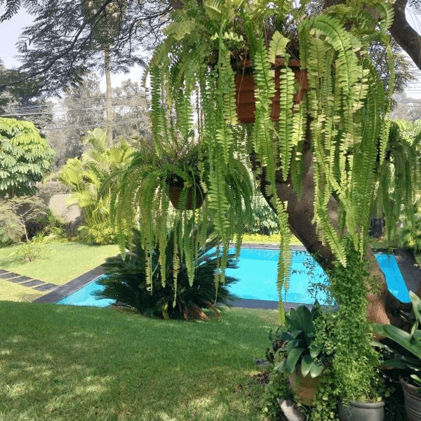 VENDO CASA LA PLANICIE CON VISTA PANORAMICA EN LA MOLINA — foto 2