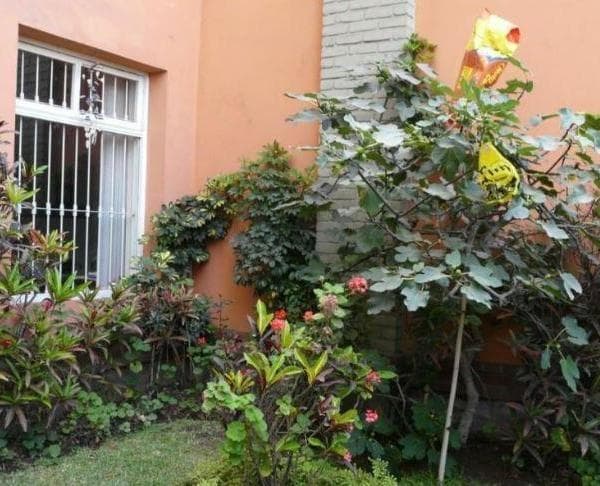 TERRENO VENDO SAN ISIDRO PRECIO DE OPORTUNIDAD — foto 1