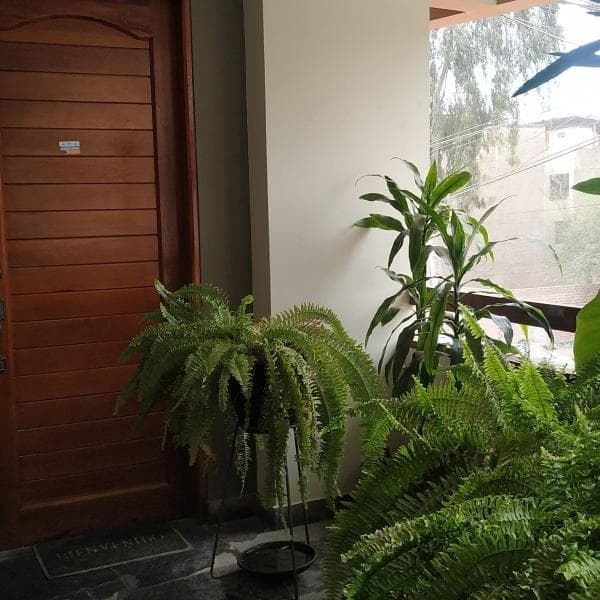VENDO AMPLIO DEPARTAMENTO EN lAS lOMAS DE LA MOLINA — foto 8
