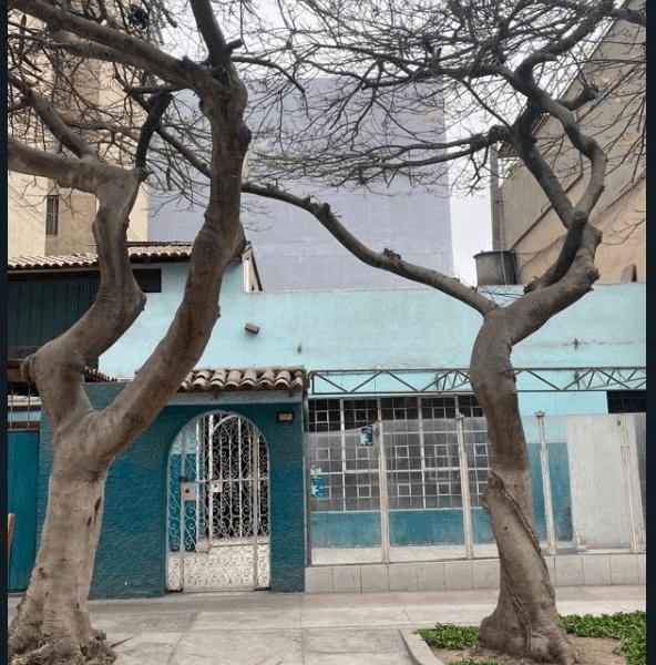 Ocasion Terreno Comercial  m Param  Pisos San Isidro Zonificacin Cm — foto 3