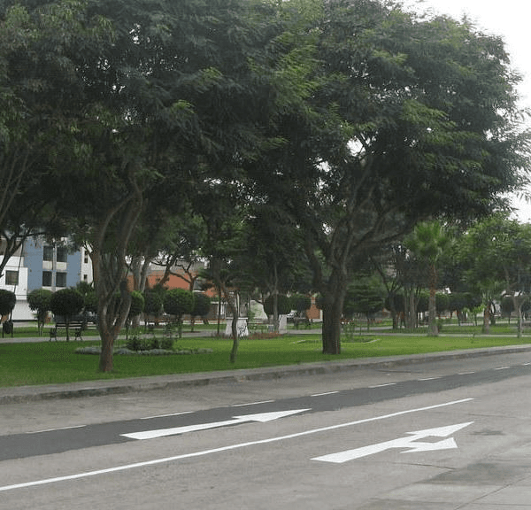 OCASIN  VENDO TERRENO m Av VELASCO ASTETE FRENTE A PARQUE — foto 3
