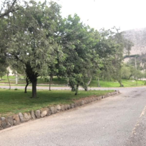 TERRENO AMPLIO  m EN CALLE LA PRADERA LA MOLINA — foto 2