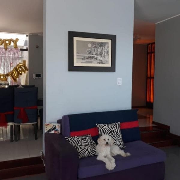 Bello Departamento en La Molina 1er Piso — foto 6