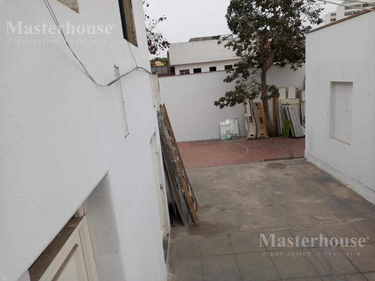 Local - San Isidro — foto 8