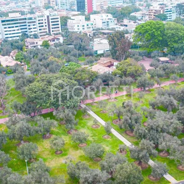 Atencin Constructores Venta de Casa a precio de Terreno en El Olivar — foto 5