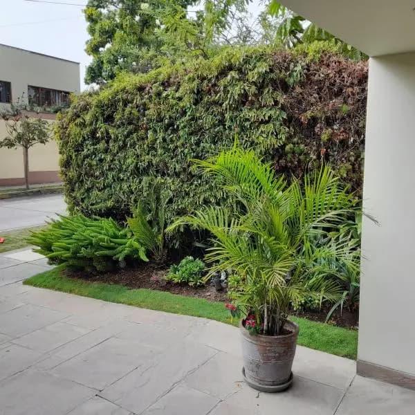 REMATO CASA EN TAMBO DE MONTERRICO CENTRO COMERCIAL CHACARILLA SURCO — foto 5