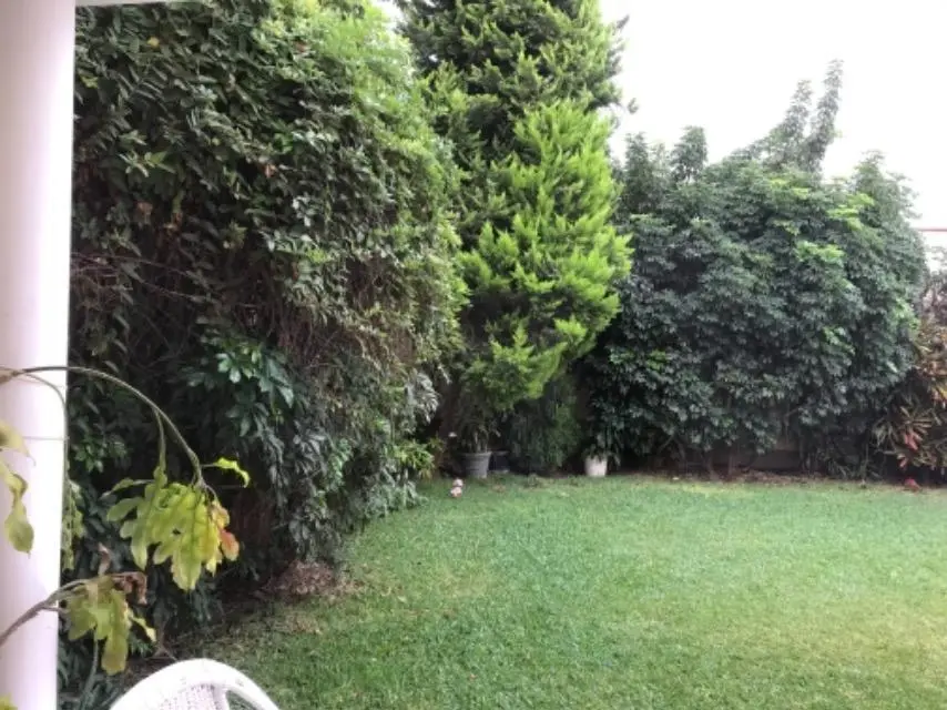 Casa linda ubicación jardín:Oportunidad!! — foto 10