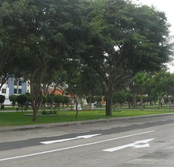 OCASIN VENDO TERRENO m xAV T MARSANO URB VISTA ALEGRE FPARQUE — foto 23