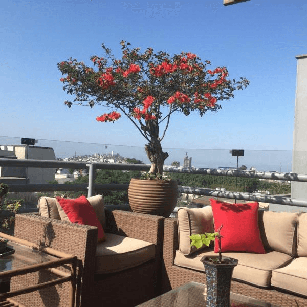 Lindo Flat de m Con Terraza Precio Negociable Surco