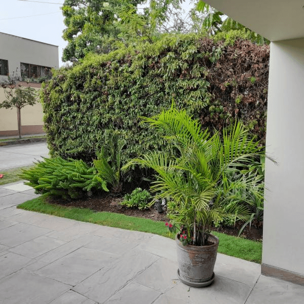 REMATO CASA EN TAMBO DE MONTERRICO CENTRO COMERCIAL CHACARILLA SURCO