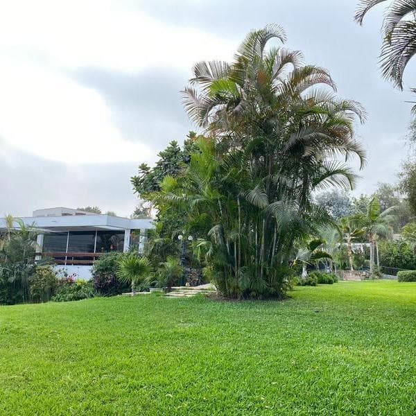VENTA DE HERMOSA CASA CON JARDINES EN LA MOLINA
